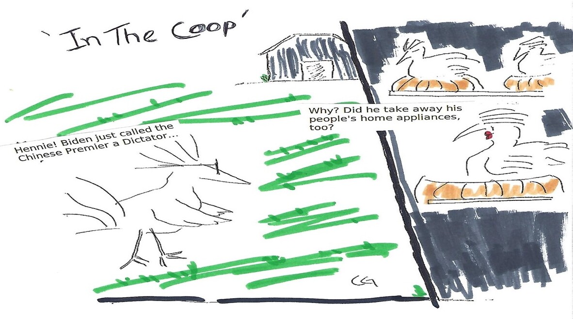 in coop